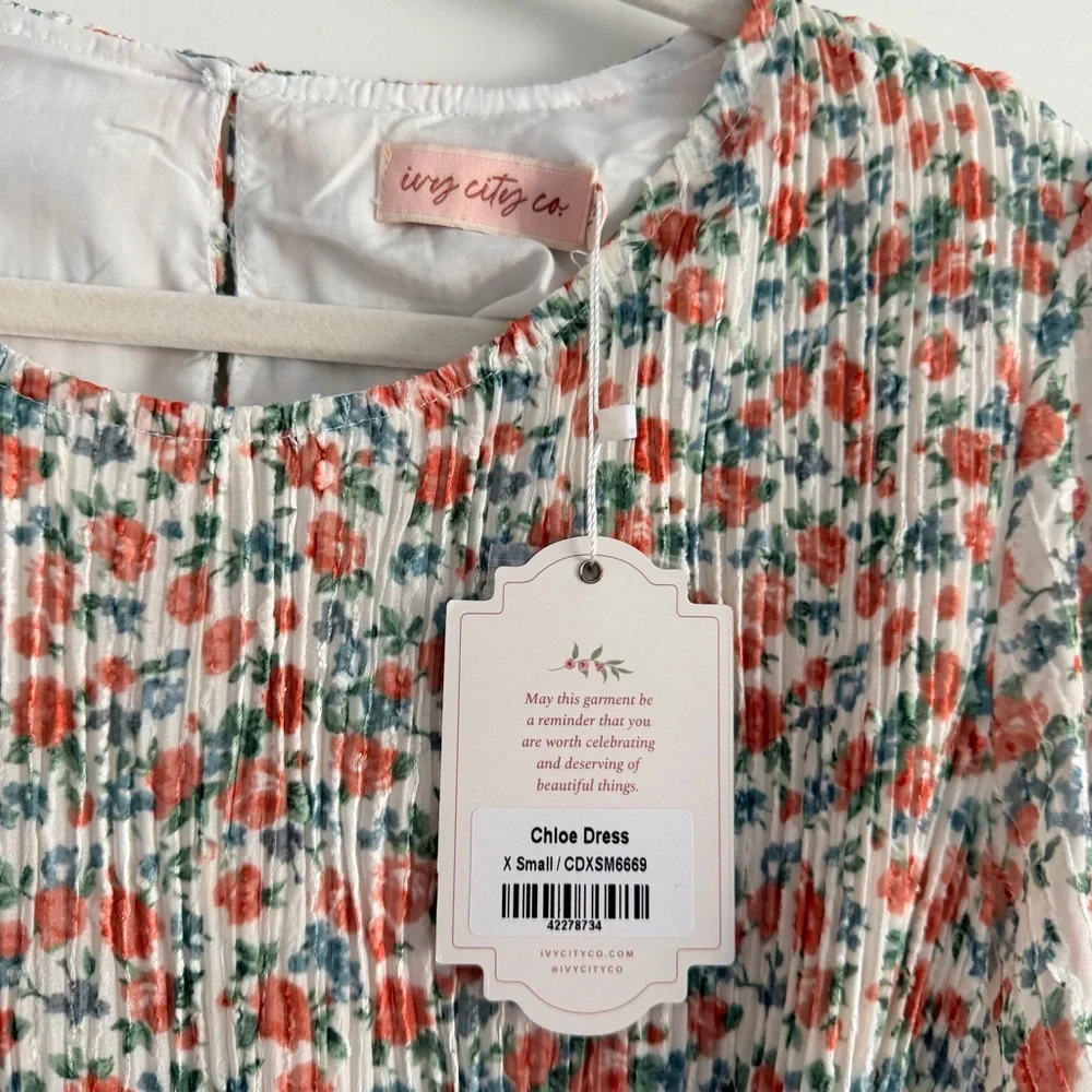 NWT! Ivy City Co Dress - Picture 4 of 5